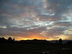 田んぼの向こうの夕焼け