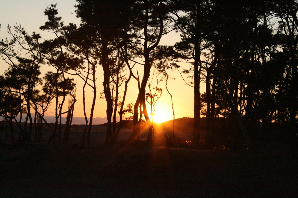 夕日