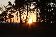 夕日