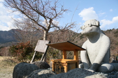 え～天気や。