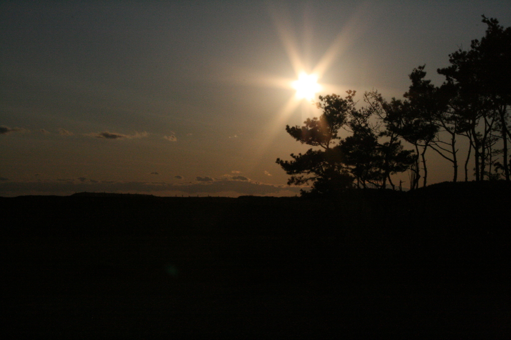 夕日