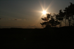 夕日