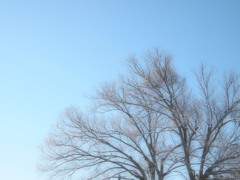 朝が来まして。。。
