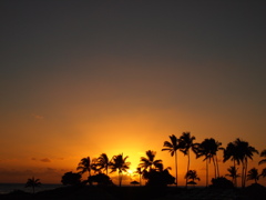 やっと夕日が。。。。