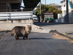 ぬしがいたもので・・・