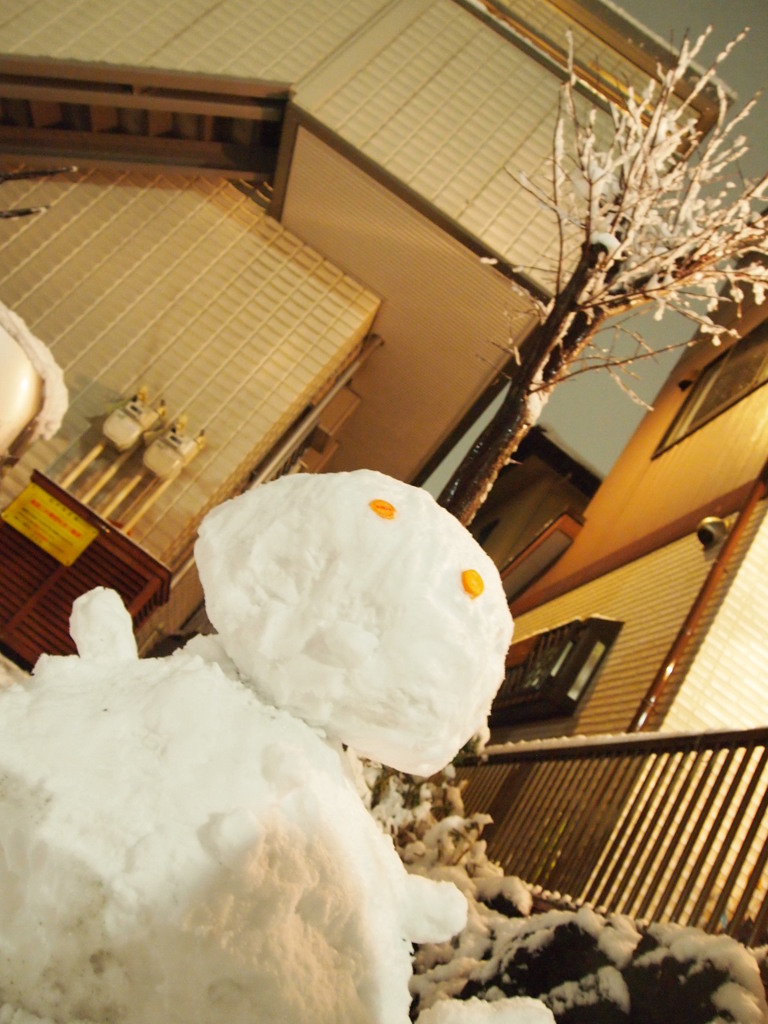 うまくとるとかじゃなく・・・雪だるまさんが。