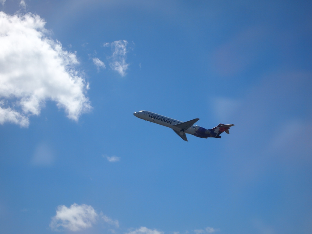 飛行機