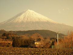 富士山２