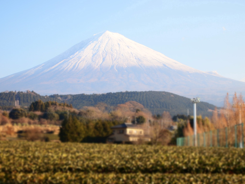 富士山１