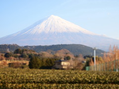富士山１