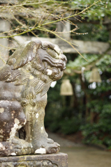 能登半島珠洲市　須須神社にて