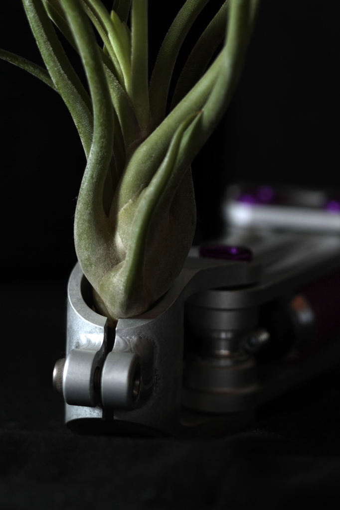 植物と金属