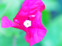 接写の練習　その６