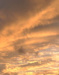 雨上がりの夕焼け