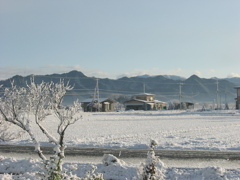初雪の朝