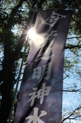日の射すところ