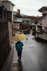 雨の日の散歩