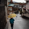 雨の日の散歩