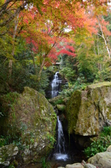 龍蔵寺の紅葉