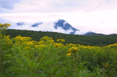 お山を背に