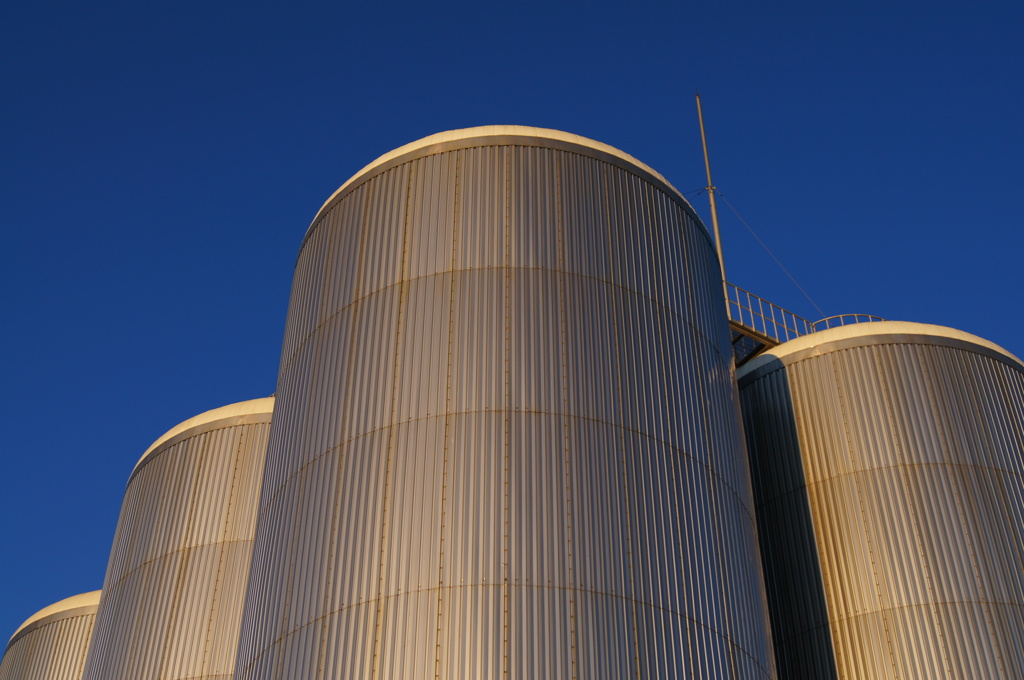 ビールつまってます