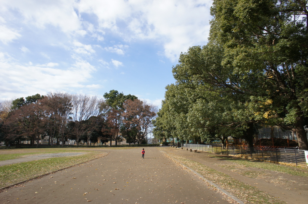 晴天の公園にて