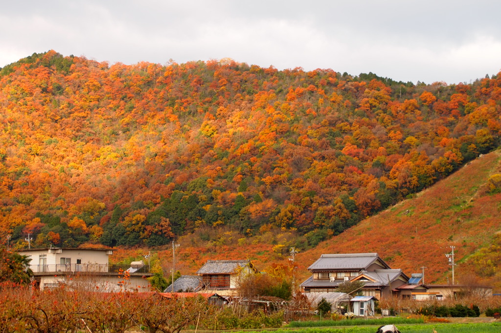 2011年12月初頭の山