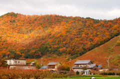2011年12月初頭の山