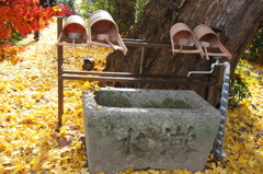 稲沢のある神社