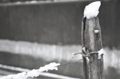 雪帽子