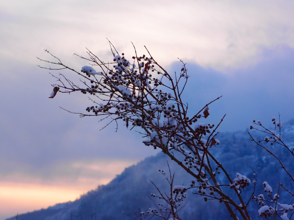 春を待ちわびて