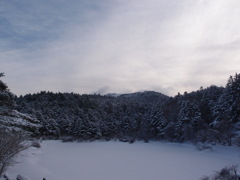 県民の森