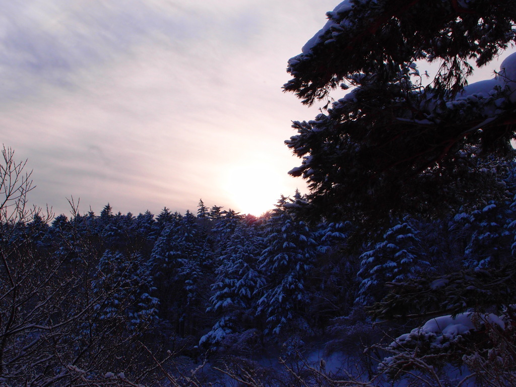 新しい朝が来る