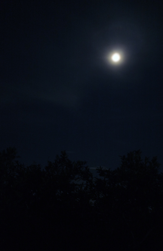 夜空に