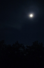 夜空に