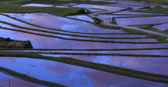 坂田棚田