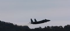 Ｆ１５
