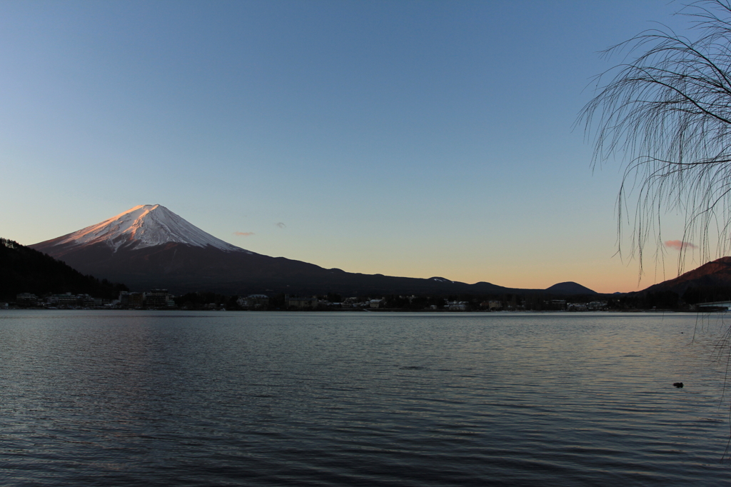 朝富士
