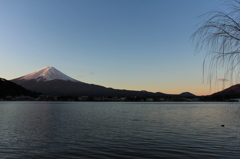 朝富士