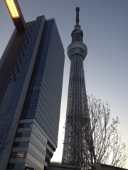 東京スカイツリー