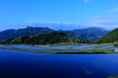 坂田棚田