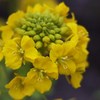 春の開放最前線Ⅰ
