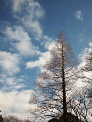 かそけき春