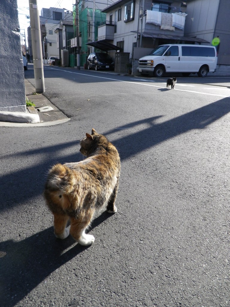 気になる先は