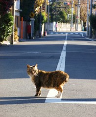 すぐそこだよ