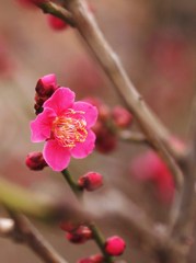 春の開放最前線Ⅱ