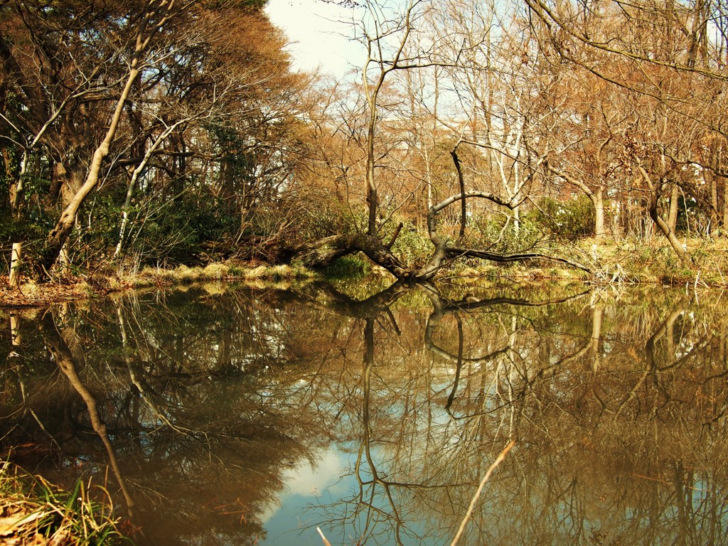 冬の小景ⅩⅩⅣ