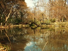 冬の小景ⅩⅩⅣ