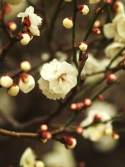 春の開放最前線Ⅴ