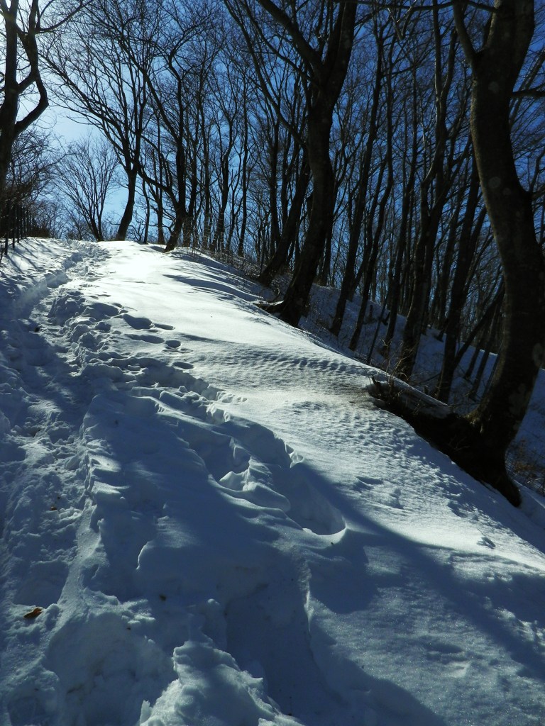 雪道は呼ぶよ